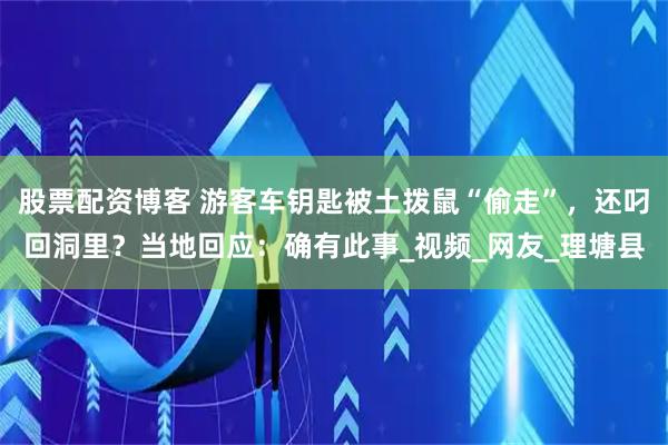 股票配资博客 游客车钥匙被土拨鼠“偷走”，还叼回洞里？当地回应：确有此事_视频_网友_理塘县