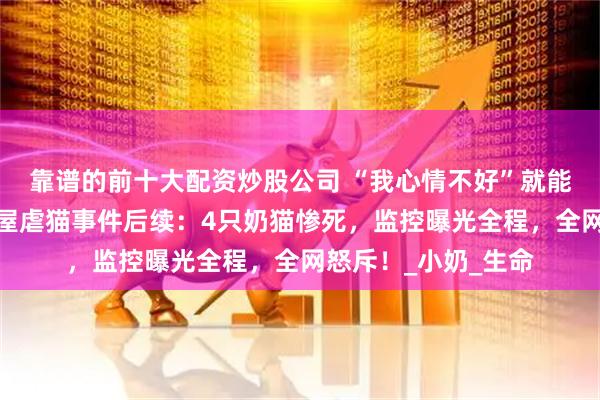 靠谱的前十大配资炒股公司 “我心情不好”就能摔死小猫？沈阳猫屋虐猫事件后续：4只奶猫惨死，监控曝光全程，全网怒斥！_小奶_生命