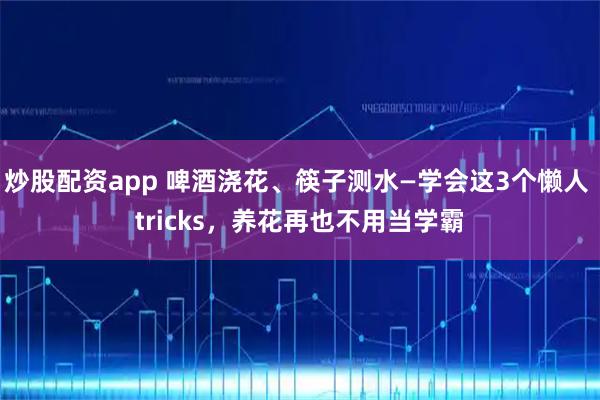 炒股配资app 啤酒浇花、筷子测水—学会这3个懒人 tricks，养花再也不用当学霸